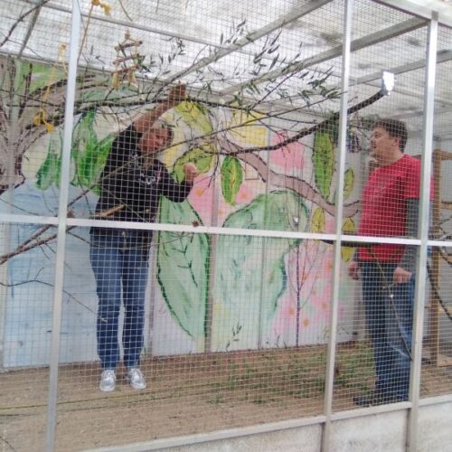 Montessori – odzimování voliéry 2017