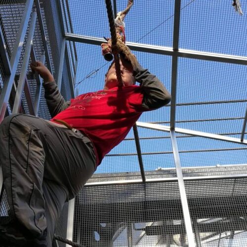 Botanická zahrada 2017 – příprava venkovní voliéry na léto