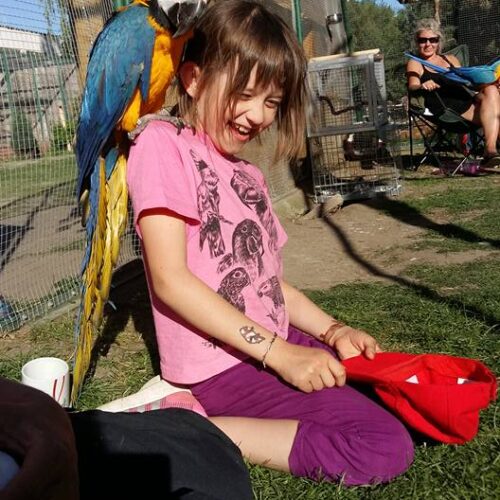 5. Biopark Štít – dětský den 2017