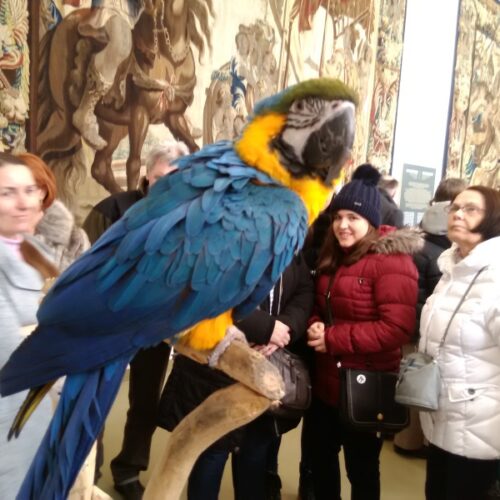 Předjaří na Pražském Hradě – březen 2018