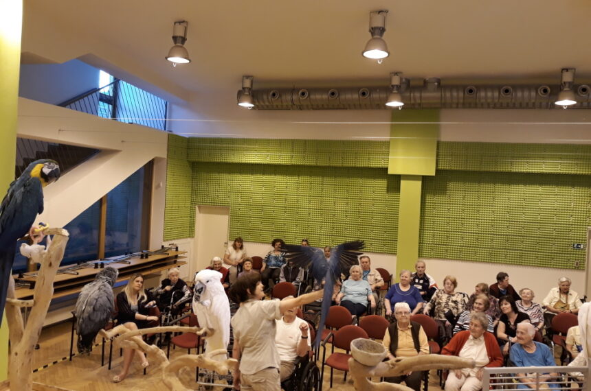 DS Benešov 2018