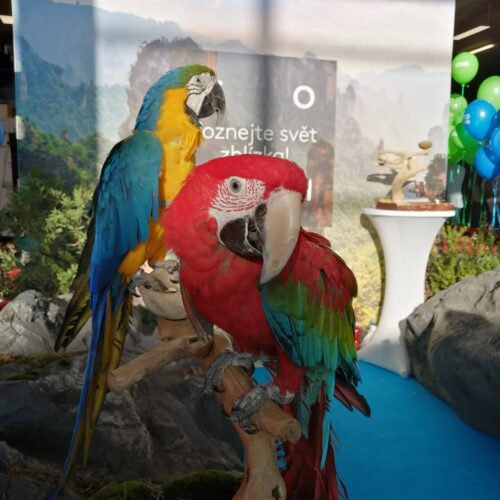 e-SALON Veletrh čisté mobility