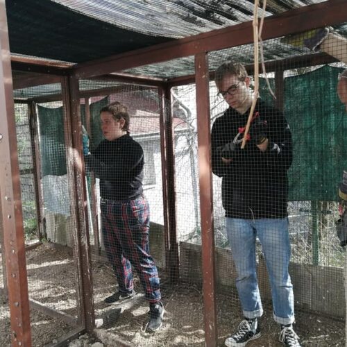 Demontáž starých voliér