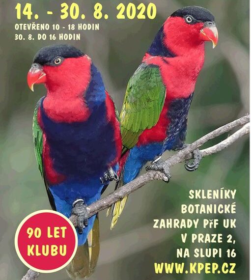 81. výstava exotického ptactva .