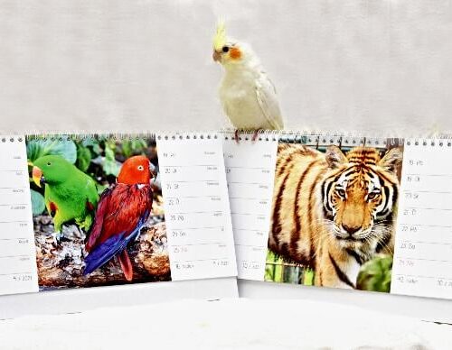 Kalendář 2021 – říjen 2020