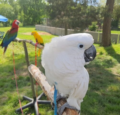 Zahájení sezóny v bioparku Štít – duben 2021