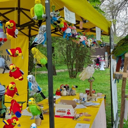 Dermacol LOVE DAY v Grébovce