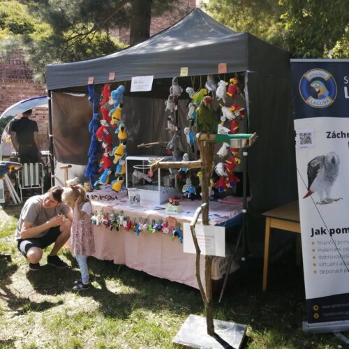 Den rodiny Žižkovy sady