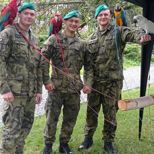 Divadlo A. Dvořáka