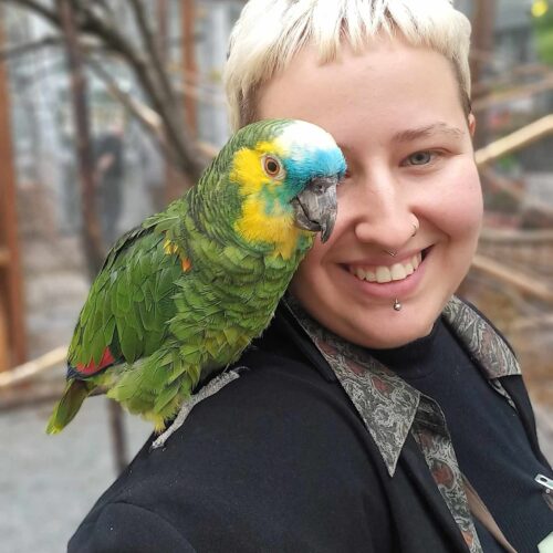 84. výstava v Botanické zahradě