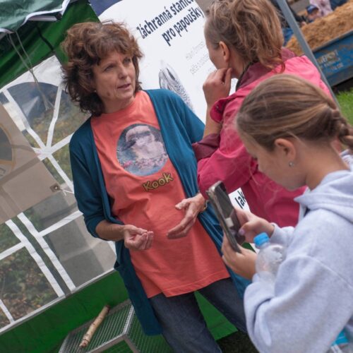 StreetFood festival v Říčanech