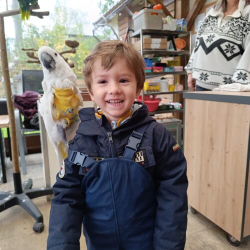 Ukázka papoušků v lesní školce