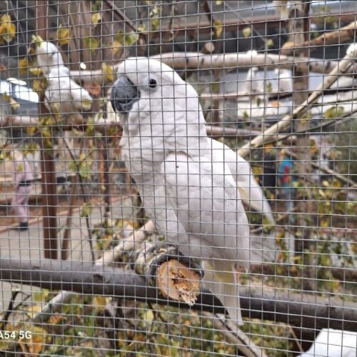 Výstava v Lysé nad Labem