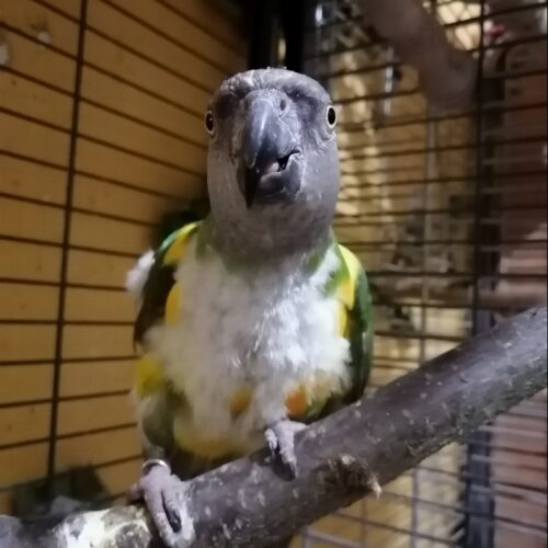 Rio