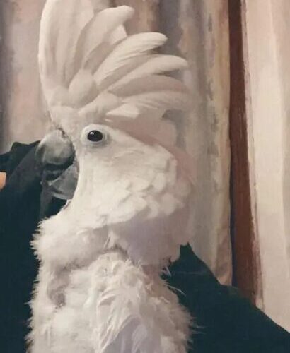 Káťa