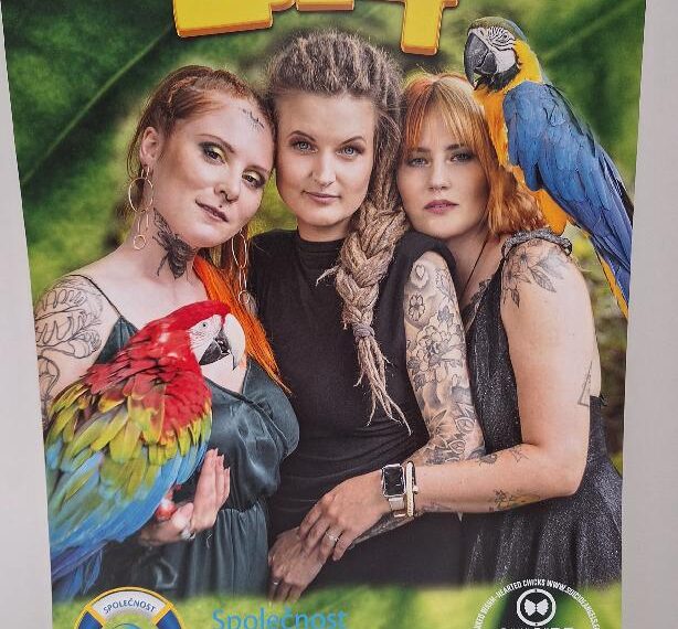 Kalendář Suicide Angels