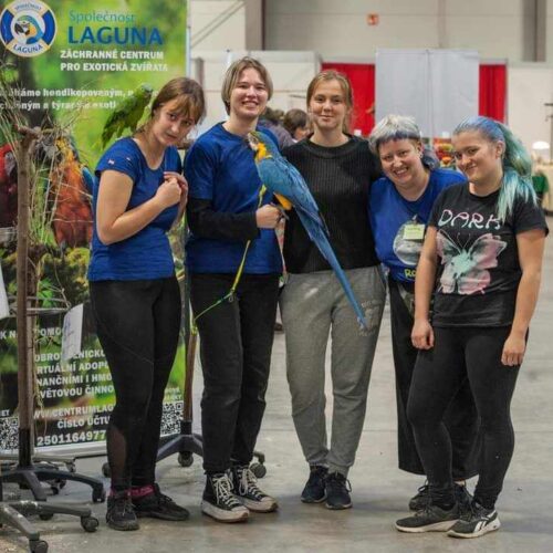 Exotika, Lysá nad Labem 2024
