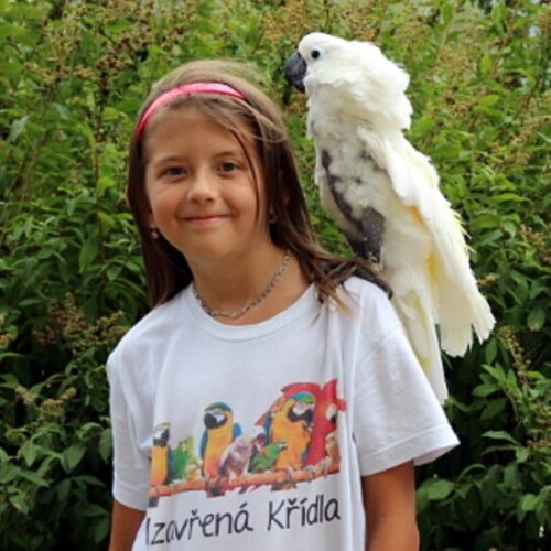 Článek – Papouščí a paví peří pomáhalo na Krásném: výnos z jejich prodeje pomůže papouškům v nouzi